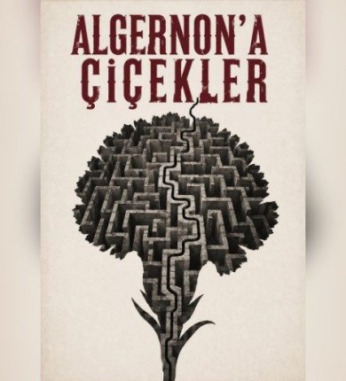 Algernon'a Çiçekler