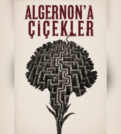 Algernon'a Çiçekler