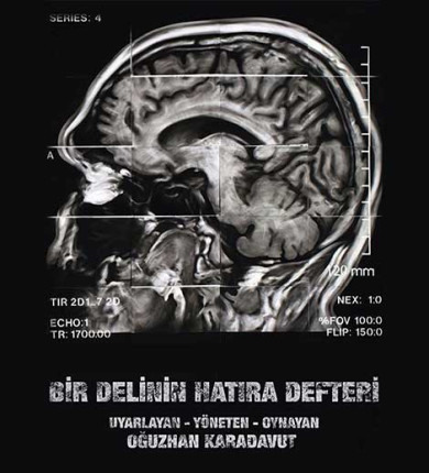 Bir Delinin Hatıra Defteri - Oğuzhan Karadavut