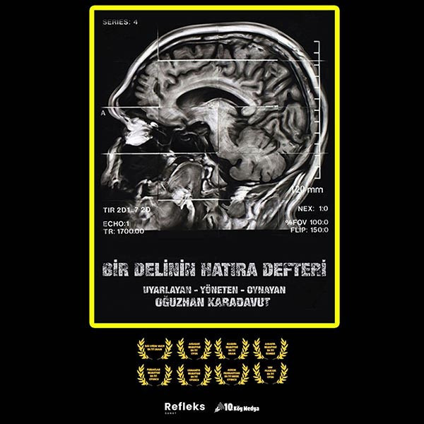 BİR DELİNİN HATIRA DEFTERİ