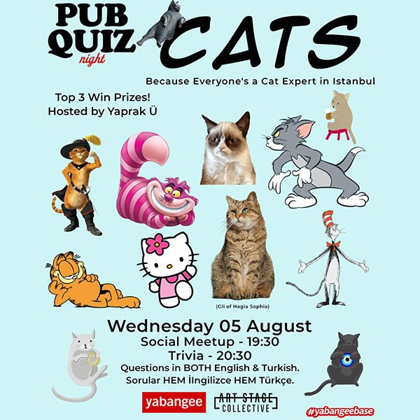 Pub Quiz on Cats: Questions in English & Turkish
