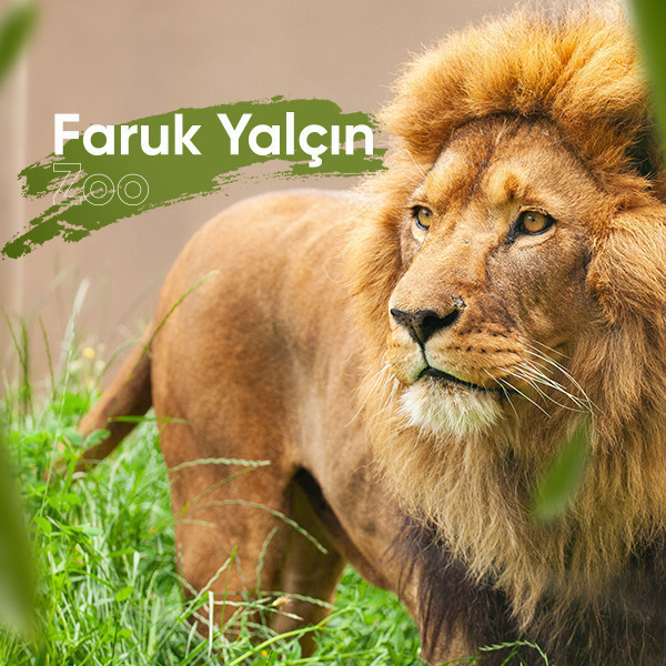 Faruk Yalçın Hayvanat Bahçesi