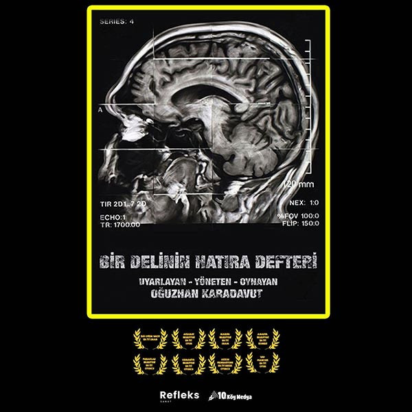 BİR DELİNİN HATIRA DEFTERİ