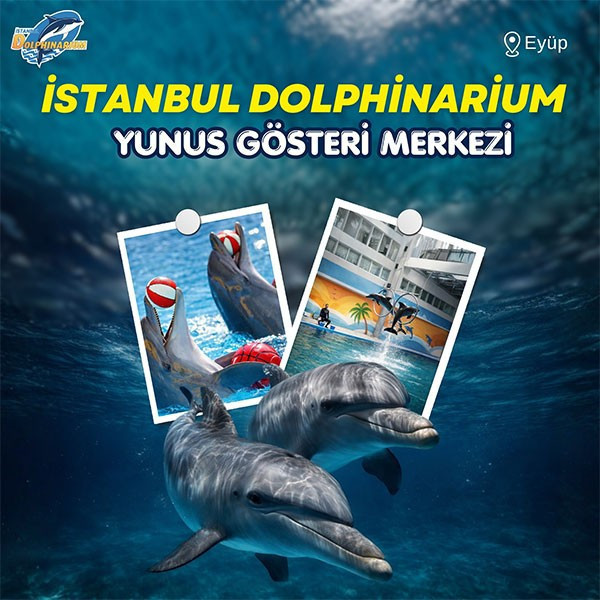 İstanbul Dolphinarium
