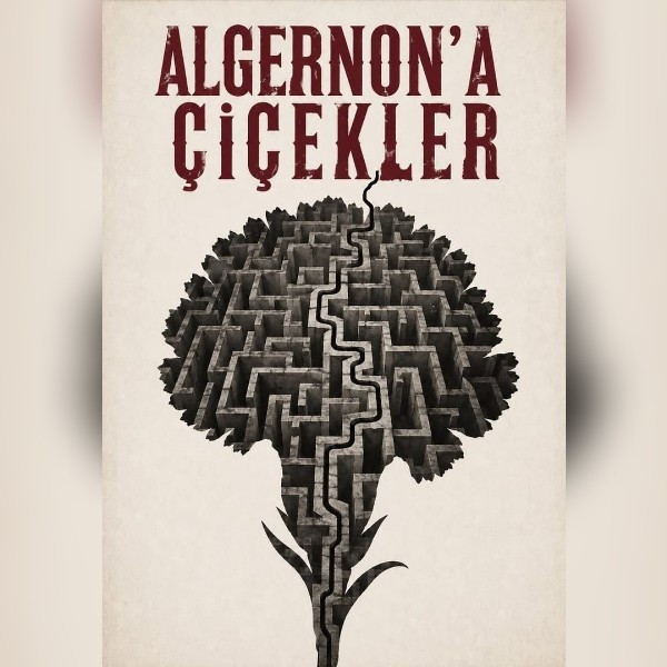 Algernon'a Çiçekler