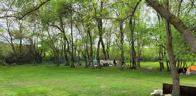 Patagonya World Camprail