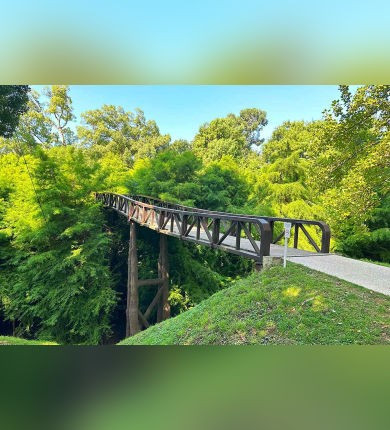 Shekvetili Park Georgia